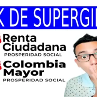 Consulta tu subsidio por link