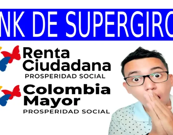 Consulta tu subsidio por link