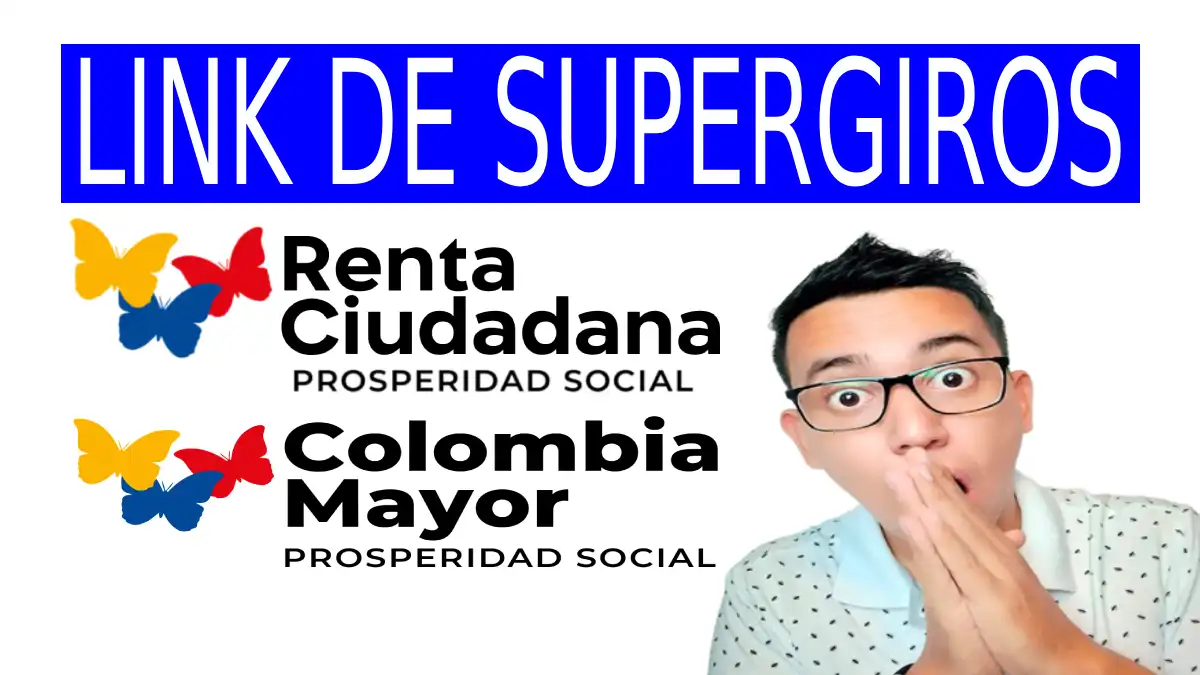 Consulta tu subsidio por link
