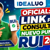 Link para consultar nuevo puntaje RUI