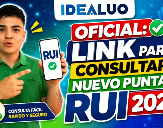 Link para consultar nuevo puntaje RUI