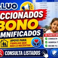 Bono de damnificados julio