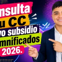 Consulta tu CC nuevo subsidio